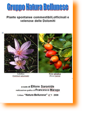 Libretto Piante Officinali