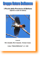 Libretto Picchi