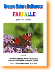 Libretto Farfalle