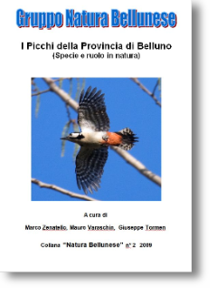 Libretto Picchi